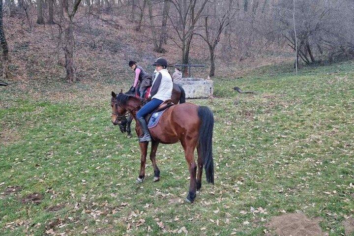 Horse Trail Adventure em Belgrado