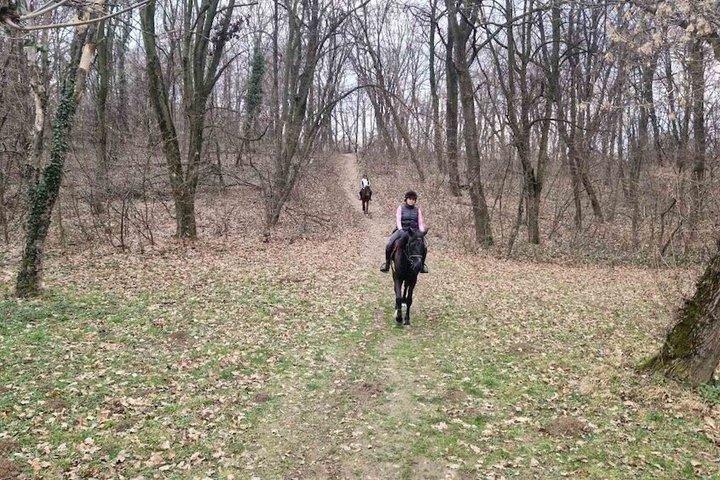 Horse Trail Adventure em Belgrado
