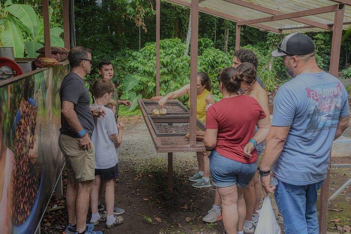 Sloths Observation and Coffee, Chocolate, Sugarcane Experience