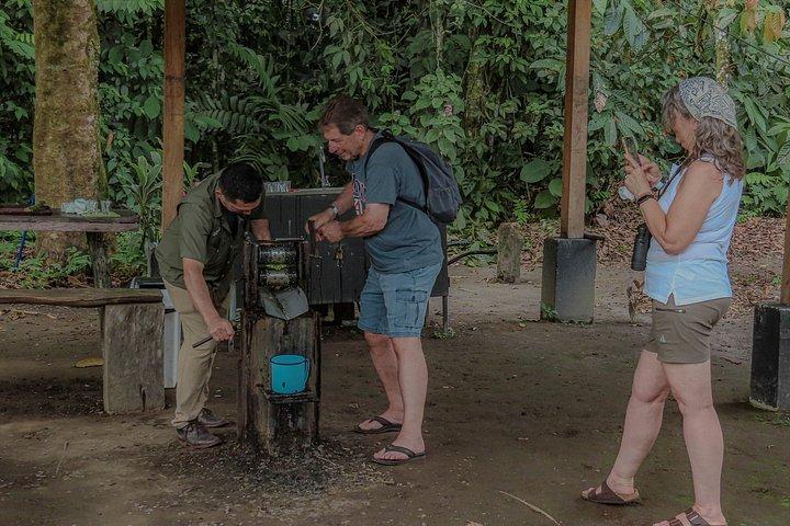 Sloths Observation and Coffee, Chocolate, Sugarcane Experience