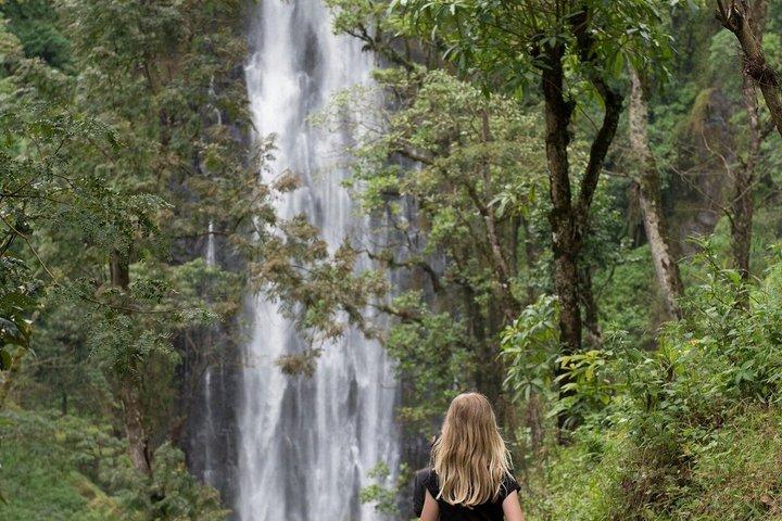 13 - Day Tanzania Safari : Great Migration, Kilimanjaro & Culture(タンザニア・サファリ:大移動、キリマンジャロ、文化)