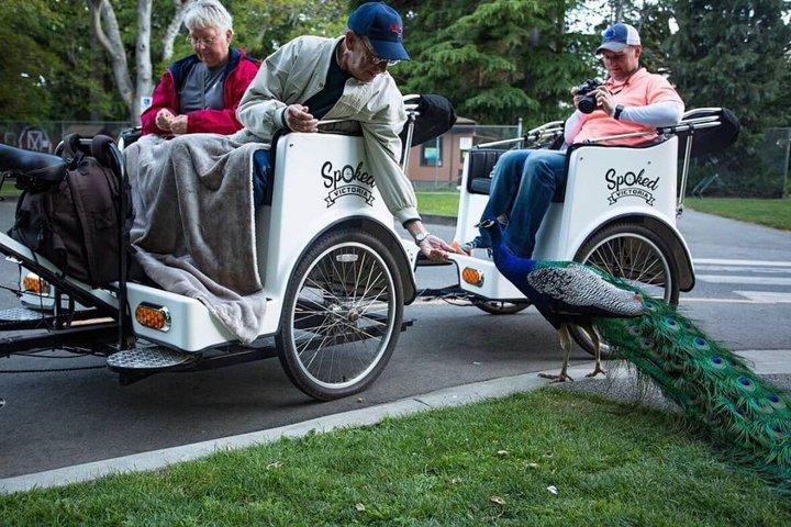 The Iconic Dash - Top-bewertete Victoria Pedicab Tour - 1 Std. 4 Personen