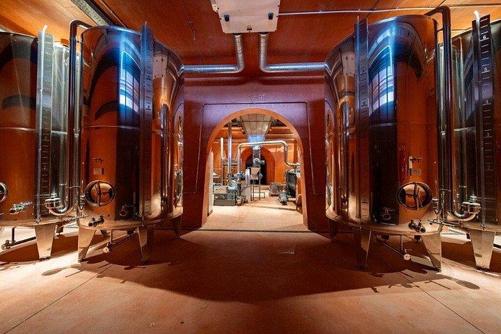 ロンダでのオリーブオイル試飲：エル・トロ・オリーブミル