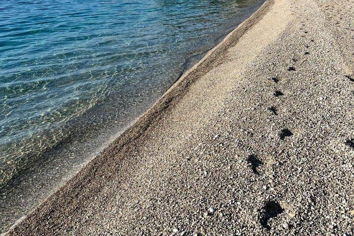 クロレス湾プライベートサランダスピードボートツアー