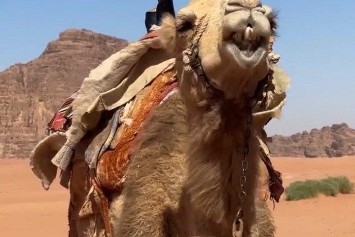 7 - プライベートヨルダンツアー：ペトラ、ワディラム、死海＆アカバ