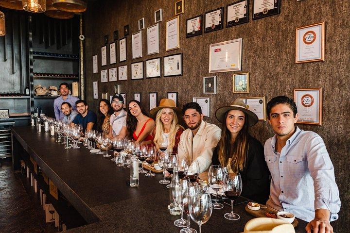 Wine Tasting and Wine Tour at SMA