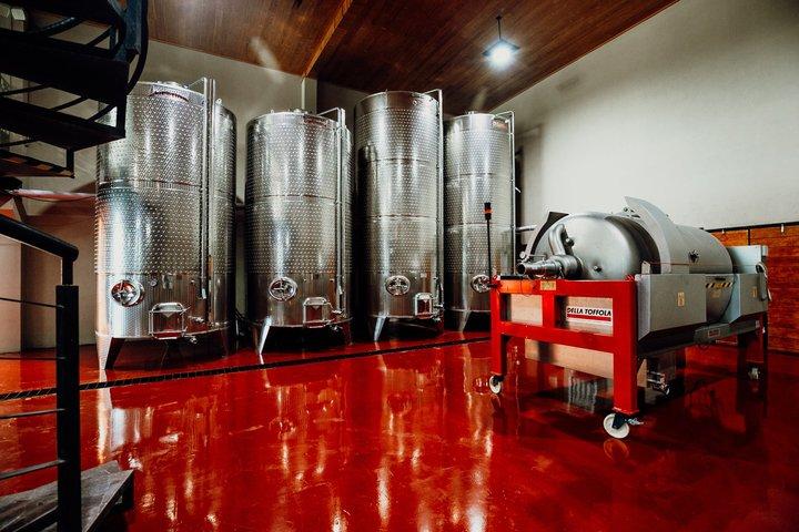 Wine Tasting and Wine Tour at SMA