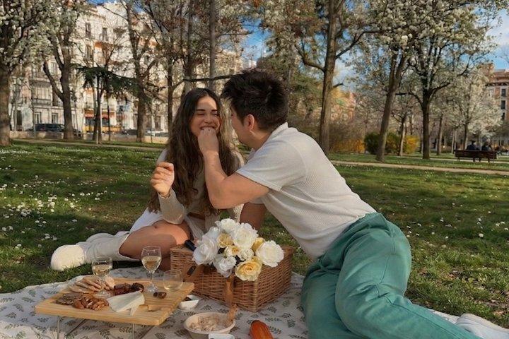 Experiência de piquenique Chic em Madrid