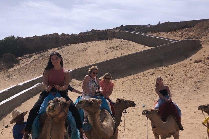マルベージャまたはマラガからのプライベート日帰り旅行（すべて込み）