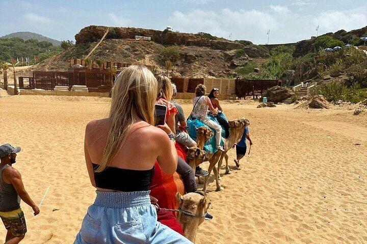 マルベージャまたはマラガからのプライベート日帰り旅行（すべて込み）