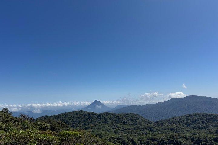 現地ナチュラリストガイド付きモンテベルデ野生動物発見ツアー