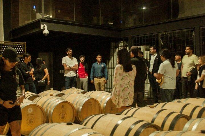 Wine Tasting and Wine Tour at SMA