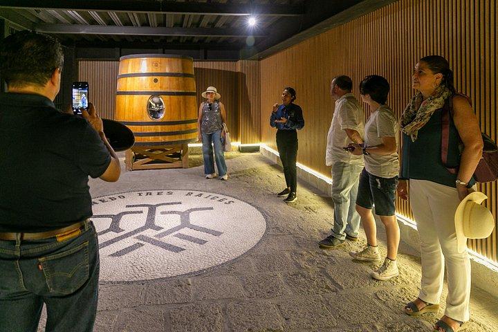 Wine Tasting and Wine Tour at SMA