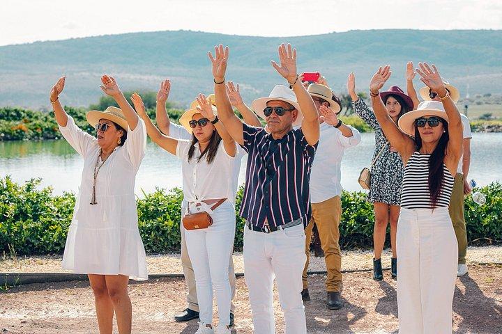 Wine Tasting and Wine Tour at SMA