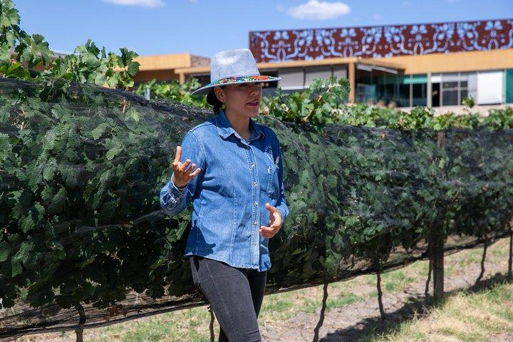 Wine Tasting and Wine Tour at SMA