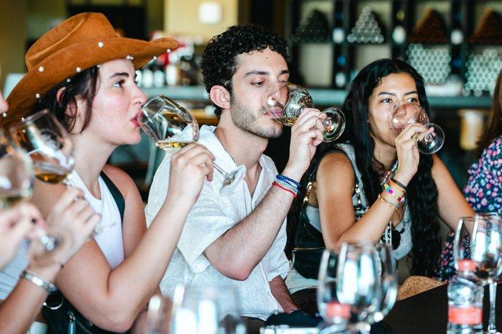 Wine Tasting and Wine Tour at SMA