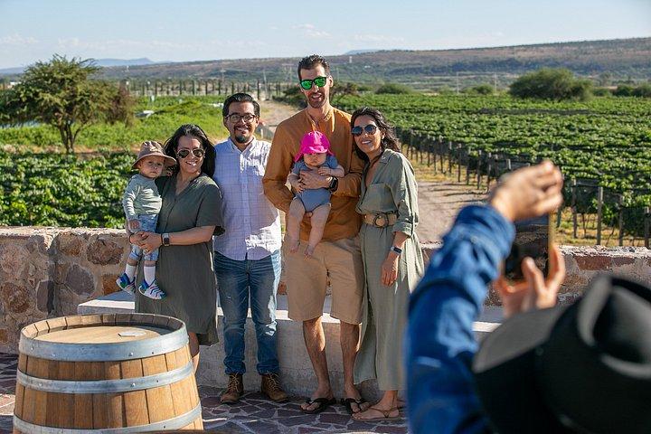 Wine Tasting and Wine Tour at SMA