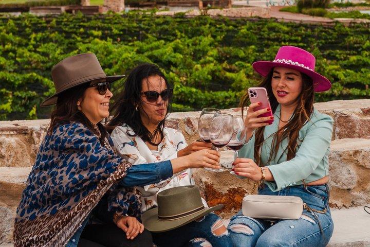 Wine Tasting and Wine Tour at SMA