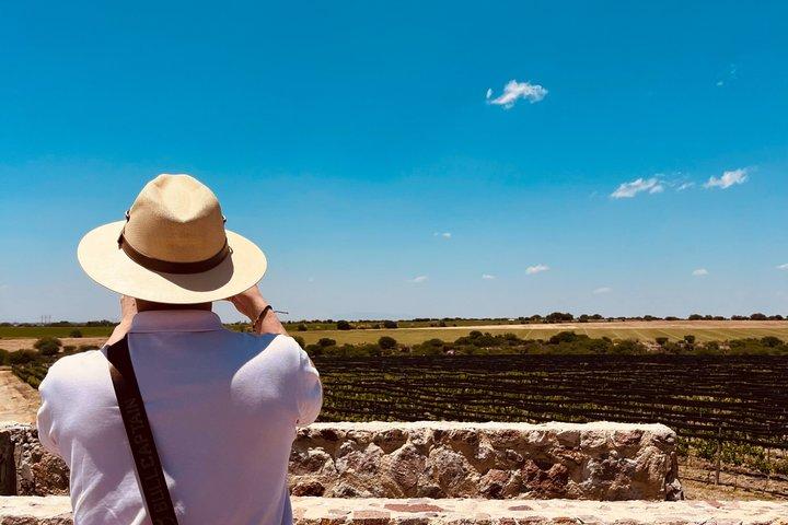Wine Tasting and Wine Tour at SMA