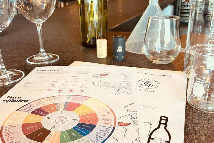Wine Tasting and Wine Tour at SMA