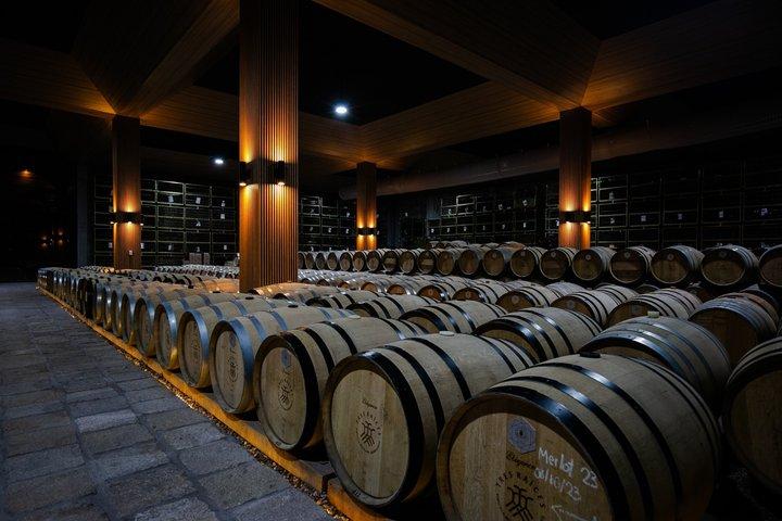 Wine Tasting and Wine Tour at SMA