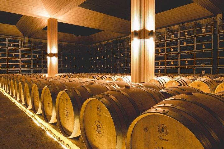Wine Tasting and Wine Tour at SMA