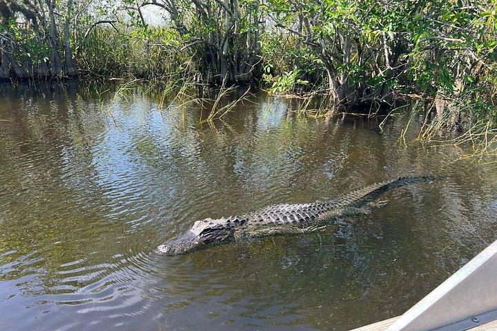Everglades private e tour della città combinati