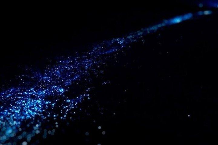 Bioluminescensupplevelse i Huatulco