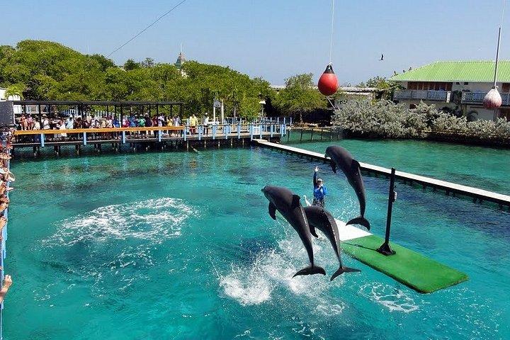 ロサリオ諸島ツアー(シュノーケル、チョロン、ランチ付き)