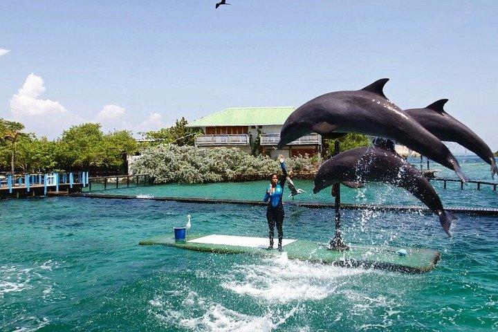 ロサリオ諸島ツアー（シュノーケル、チョロン、ランチ付き）