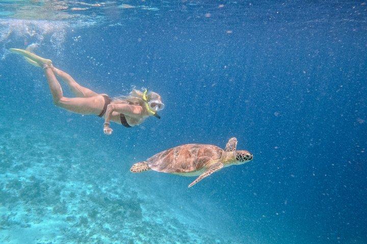 Snorkeling privado Gili Island com câmera GoPro