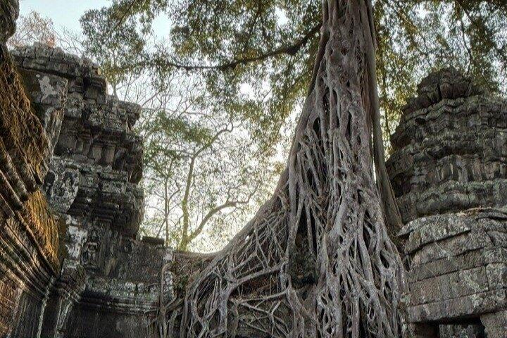 Wang 007 - En dag utforska Angkor Wat Small Loop Tour