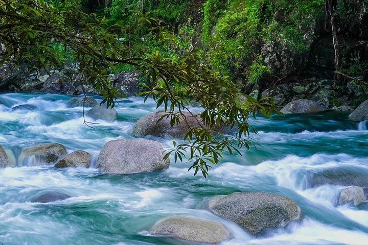 Excursion privée d'une demi-journée en croisière Daintree et crocodile