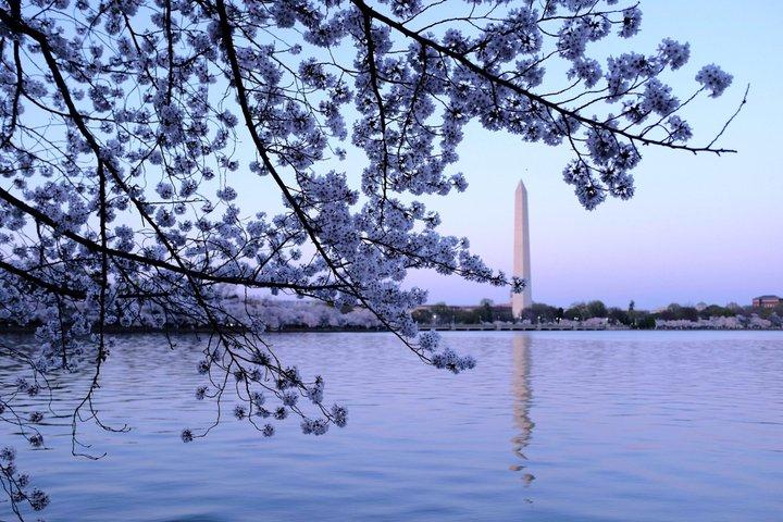 DC Monuments Night Tour com 10 + paradas, National Mall, Bilhetes