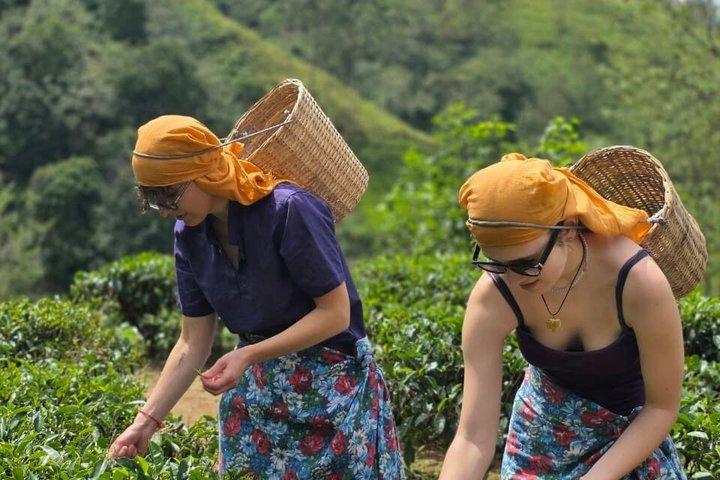 Sri Lanka Privé autorondreis 3 dagen