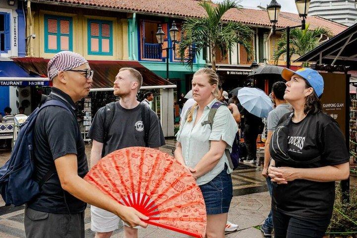 Privat brugerdefineret Singapore Walking Tour (4-8 timer, fleksibel plan)