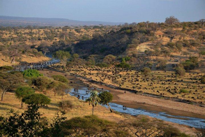 Safari de 2 días en Tarangire y Ngorongoro