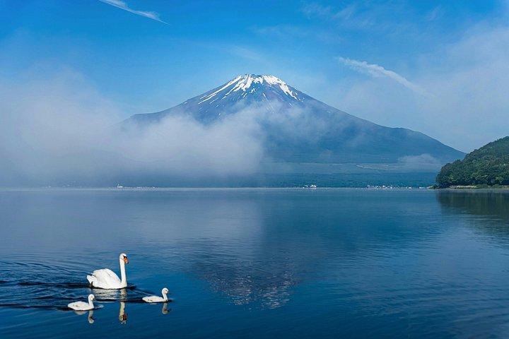 東京から富士山を巡るプライベートツアー～壮大な体験