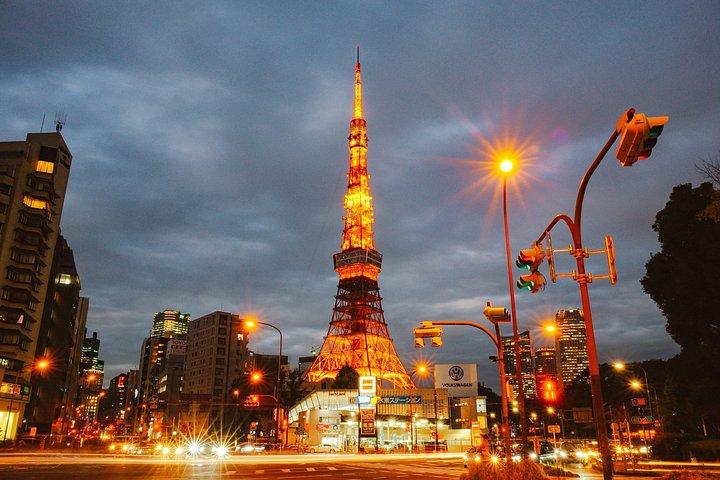 空港送迎付き東京レイオーバープライベートツアー