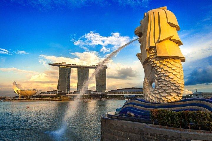 Tour guidato di mezza giornata della città di Singapore con prelievo dall'hotel