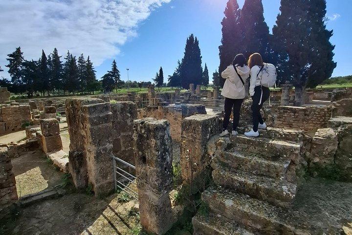 叙事詩日帰りビゼルテ岬アンジェラとユネスコ・イクウルバードウォッチング