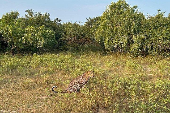 エコレジャータクシーでスリランカ全土のインバウンドツアーをカスタマイズ