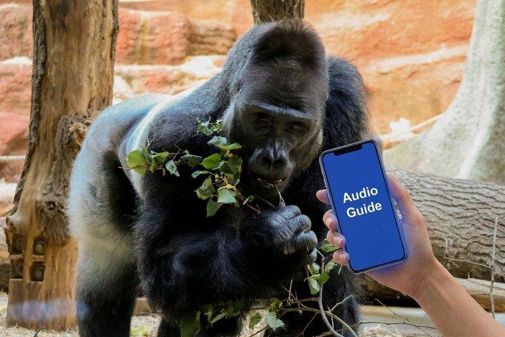 Prags Zoo Online Audio Guide