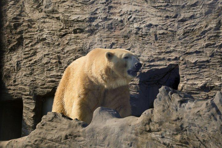 Prag Zoo Billet med Online Audio Guide