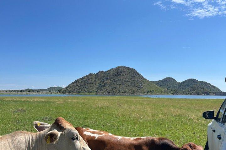Het Grand Namibia Circuit Professional 4x4 begeleide selfdrive