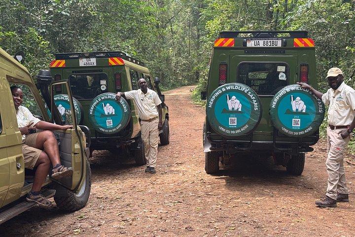 8 Days Uganda Safari including Chimpanzees and Gorillas
