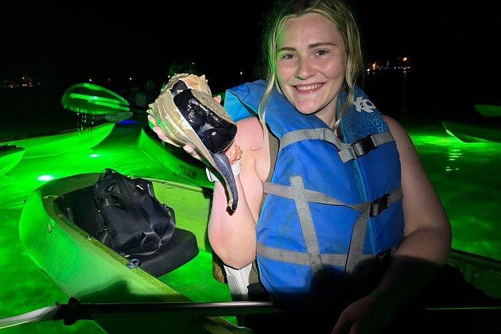 シャーキーズグラスボトムカヤックナイトツアー（魚の餌付け付き）