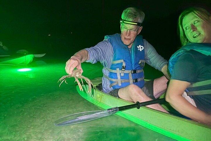 シャーキーズグラスボトムカヤックナイトツアー（魚の餌付け付き）
