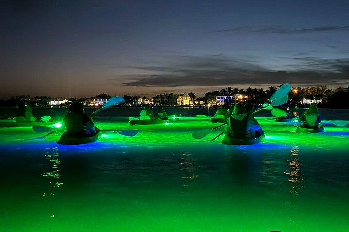 シャーキーズグラスボトムカヤックナイトツアー（魚の餌付け付き）