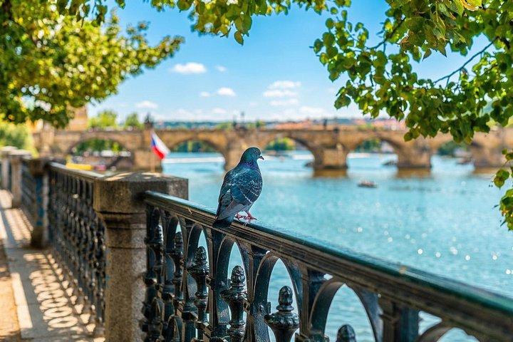 Prague Grand 2,5 heures + 2 heures de marche extérieure